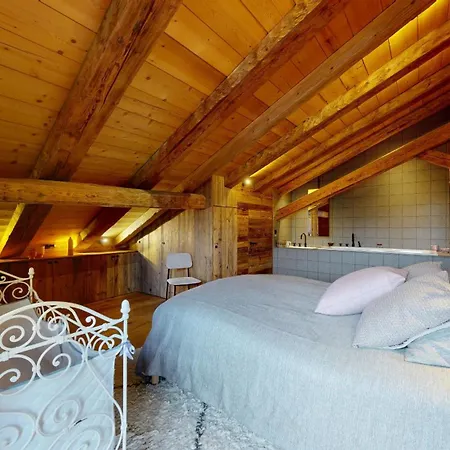 Drozin - Portes Du Soleil 23 Pers * Abondance
